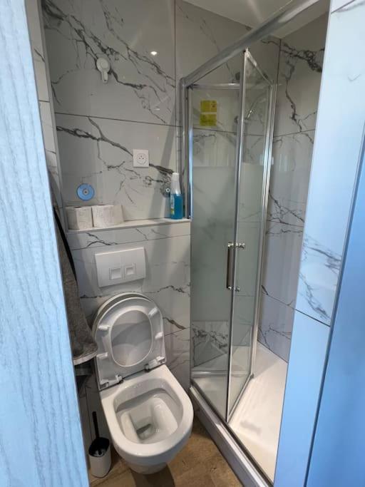 Super Studio En Face De La Gare De Mulhouse Daire Dış mekan fotoğraf